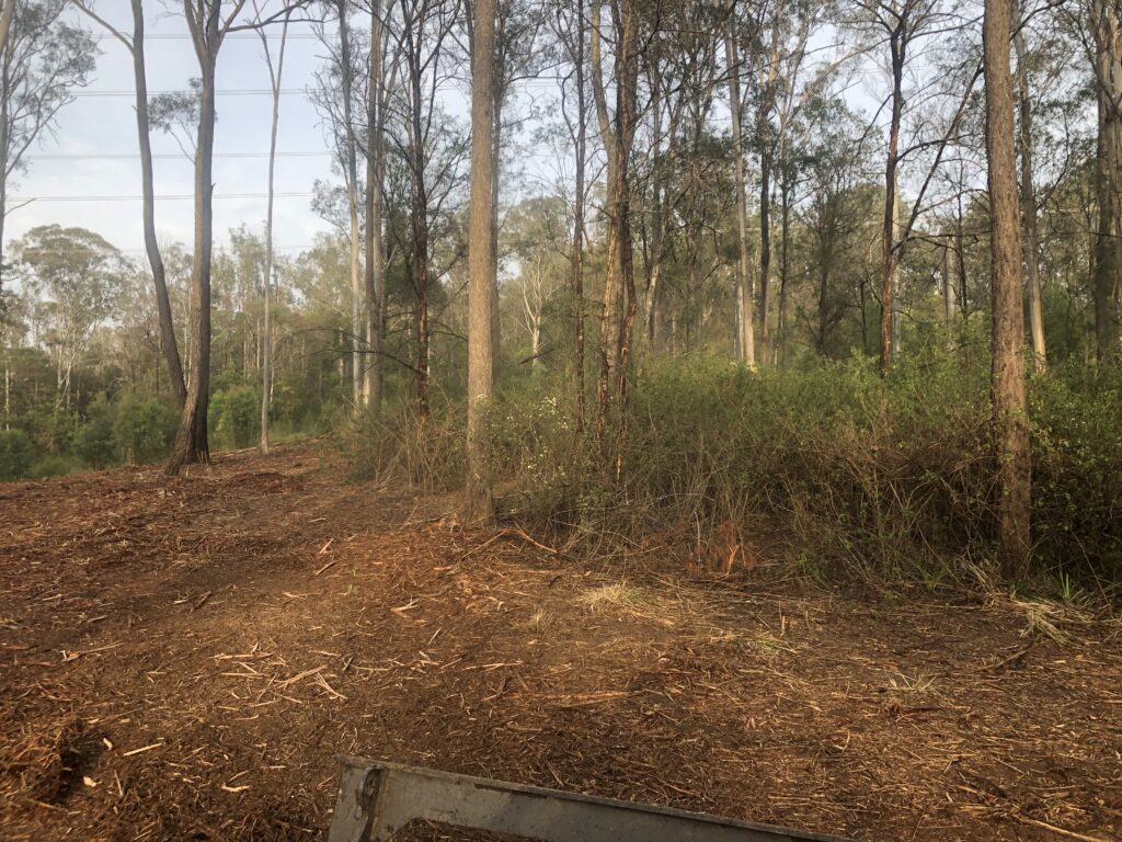 Under-Scrub Land Clearing