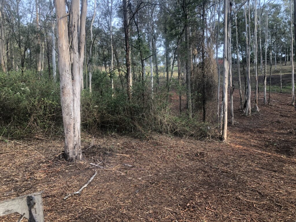 Under-Scrub Land Clearing