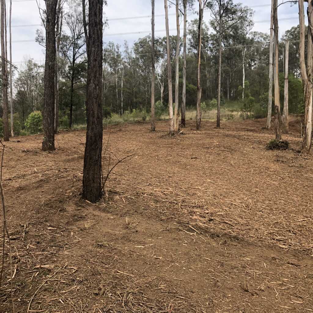 Under-Scrub Land Clearing