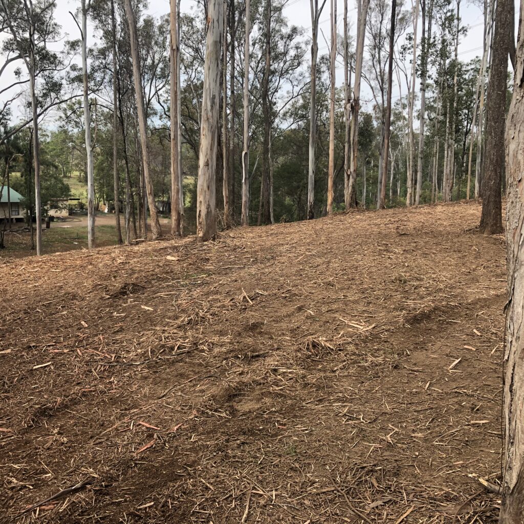 Under-Scrub Land Clearing