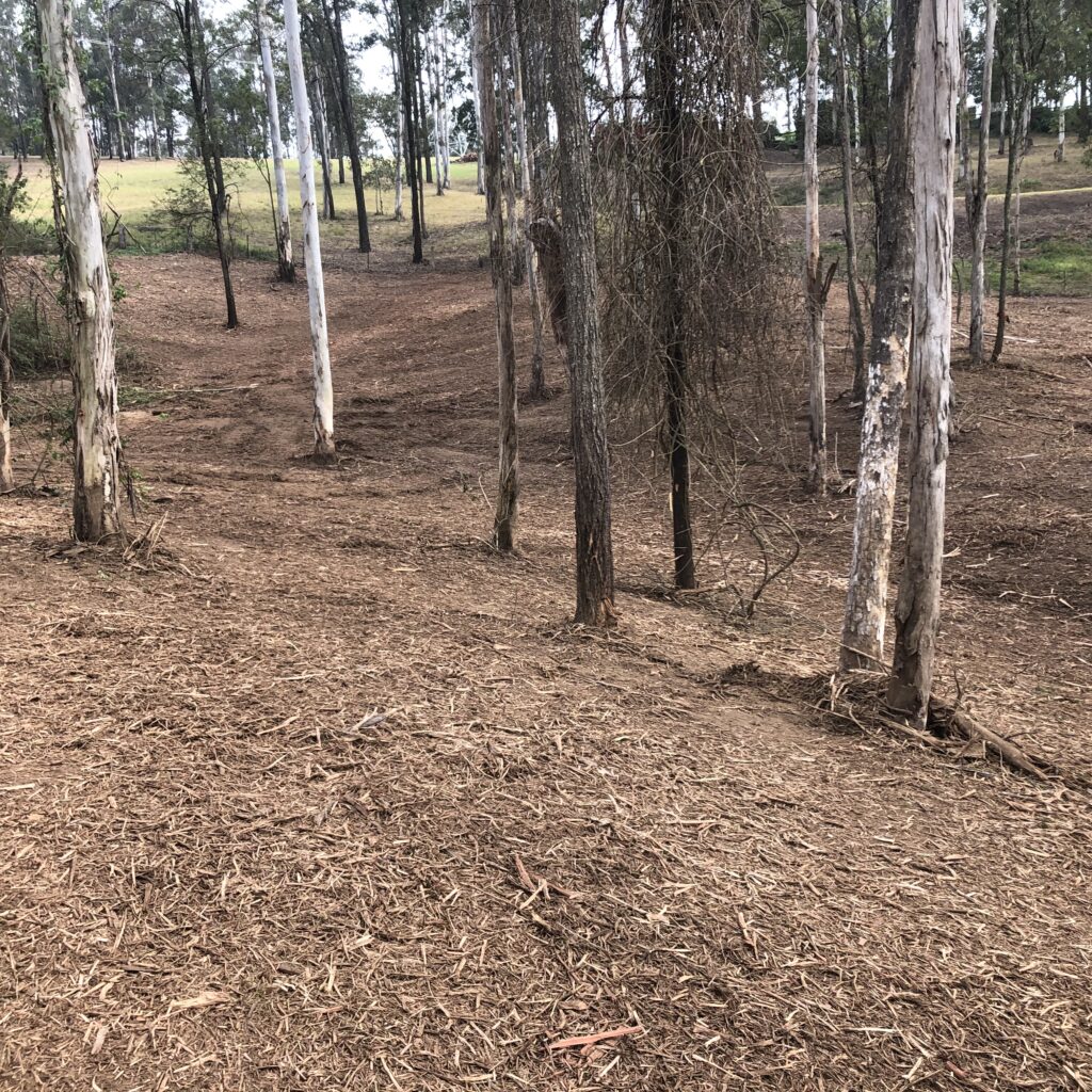 Under-Scrub Land Clearing