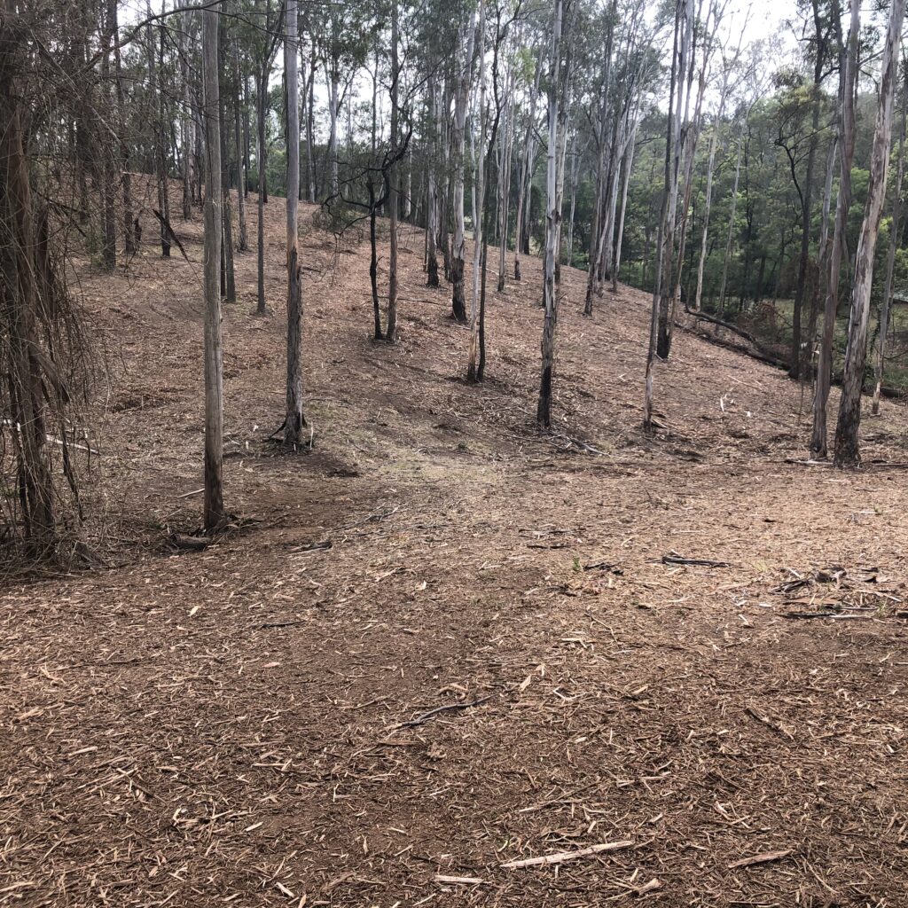 Under-Scrub Land Clearing